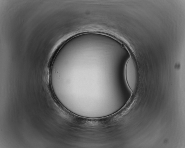 X0000100861509200806200825