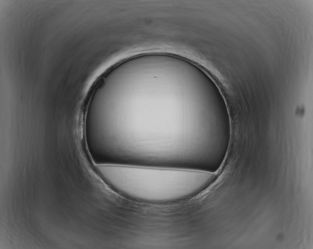 X0000100861510200806200825