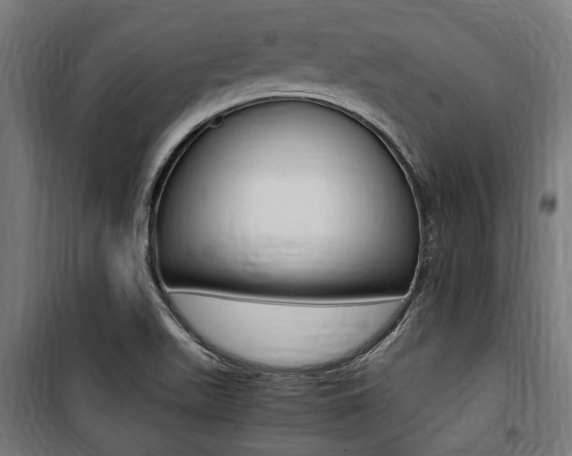 X0000100861511200806200825