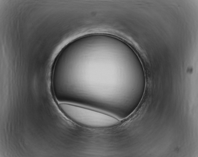 X0000100861512200806200825