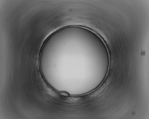 X0000100861513200806200825