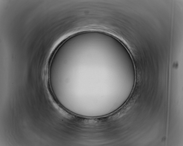 X0000100861515200806200825