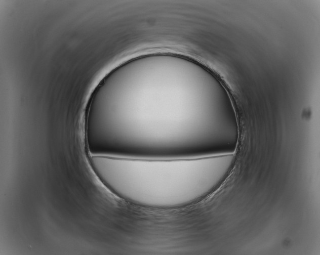 X0000100861516200806200825
