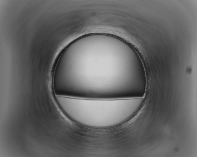 X0000100861517200806200825