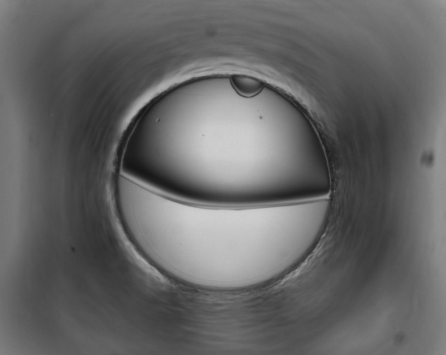 X0000100861518200806200825