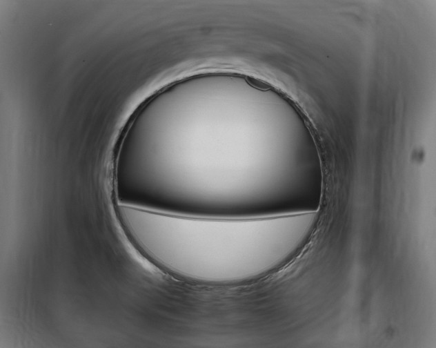 X0000100861519200806200825