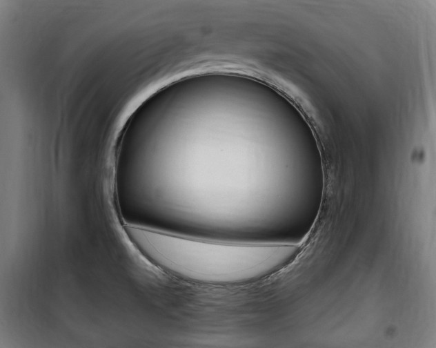 X0000100861520200806200825