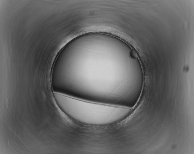 X0000100861521200806200825