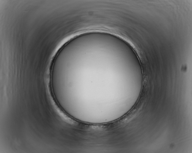 X0000100861523200806200825