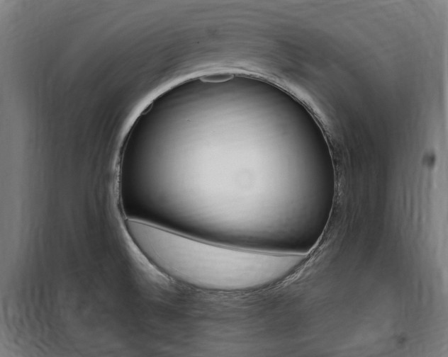 X0000100861524200806200825