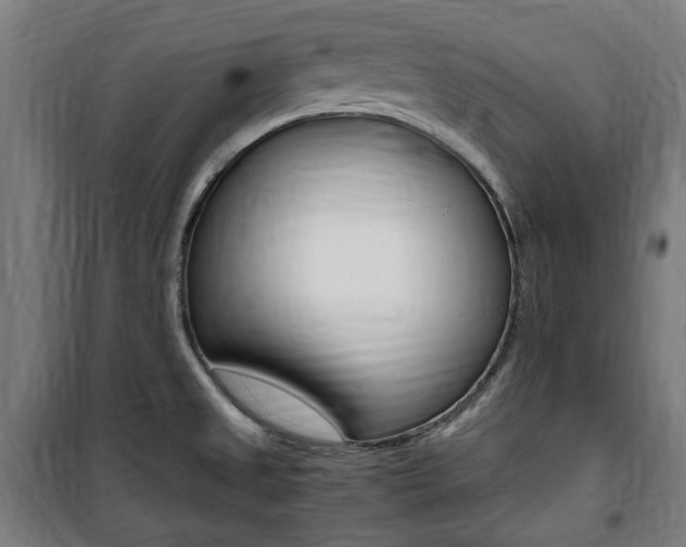 X0000100861525200806200825