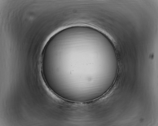 X0000100861526200806200825
