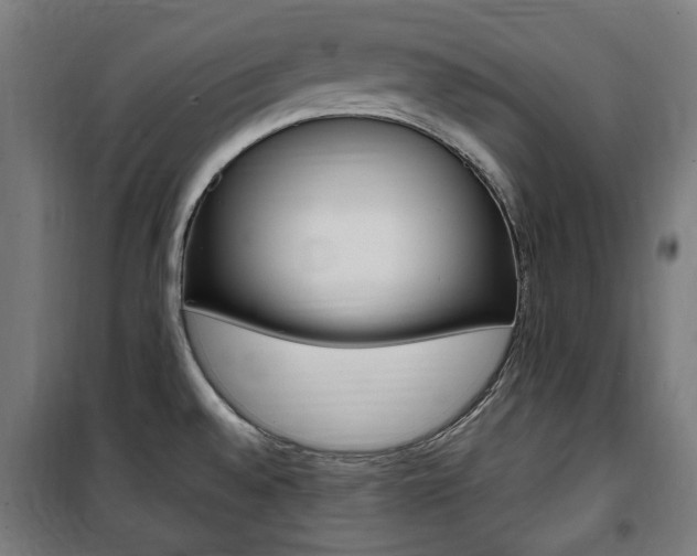 X0000100861528200806200825
