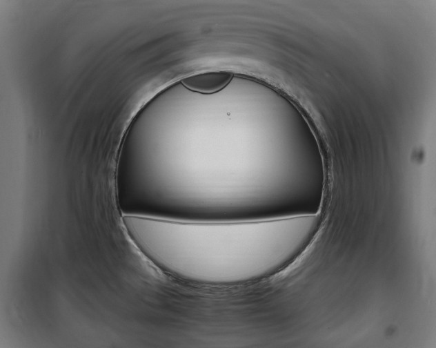 X0000100861529200806200825