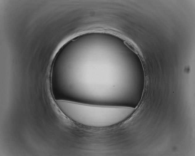 X0000100861530200806200825