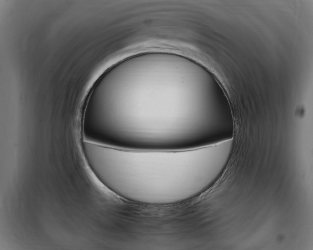 X0000100861531200806200825