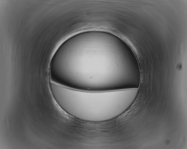 X0000100861532200806200825