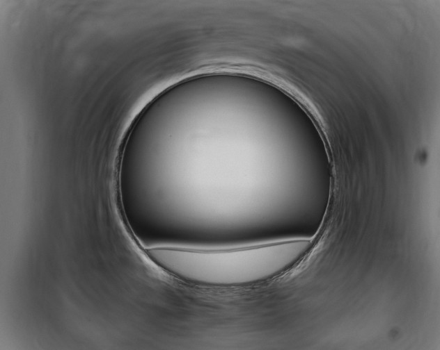 X0000100861533200806200825