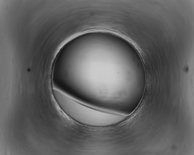 X0000100861534200806200825