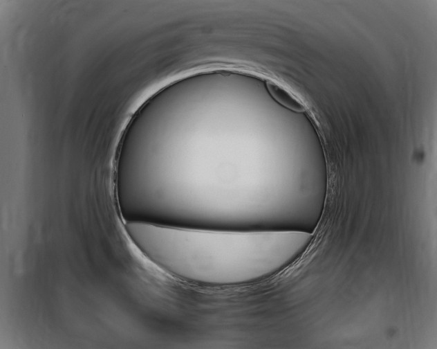 X0000100861535200806200825