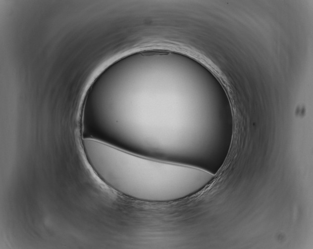 X0000100861536200806200825