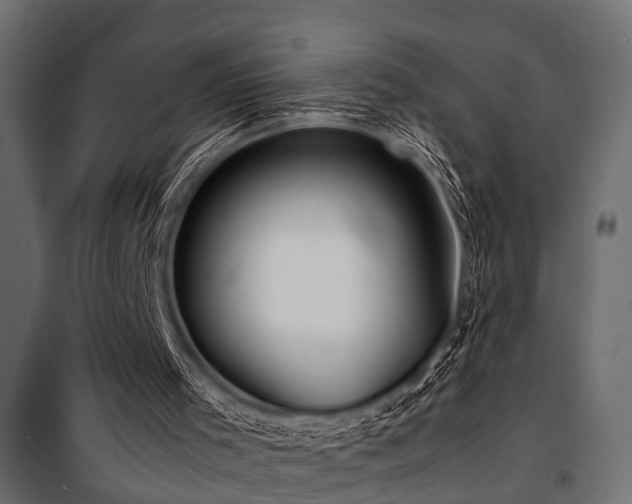 X0000100860001200806201228