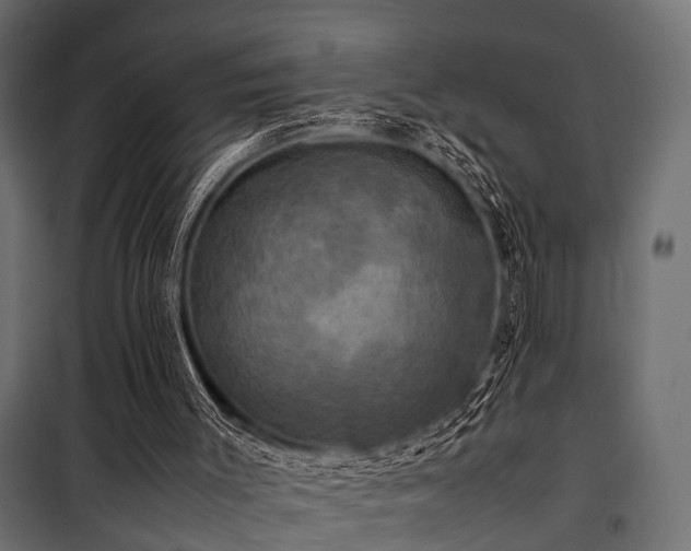 X0000100860003200806201228