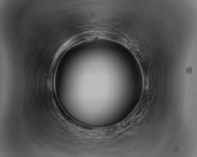 X0000100860004200806201228