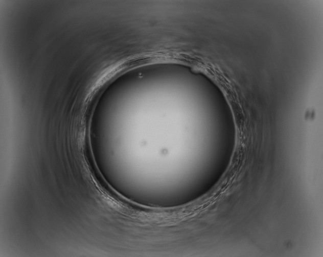 X0000100860005200806201228