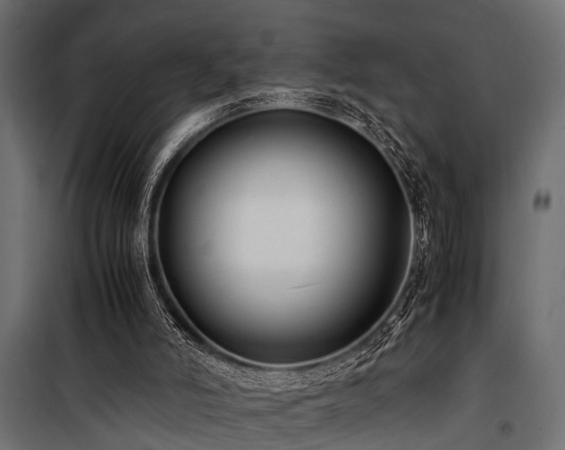 X0000100860006200806201228