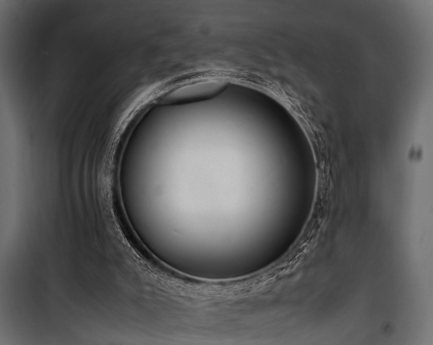 X0000100860007200806201228