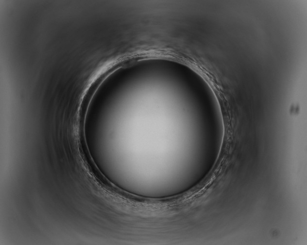 X0000100860008200806201228