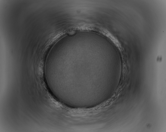 X0000100860009200806201228