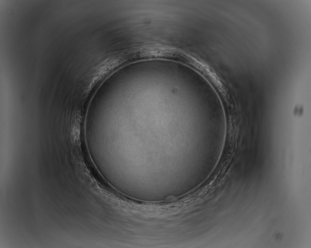 X0000100860010200806201228