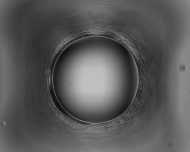 X0000100860011200806201228