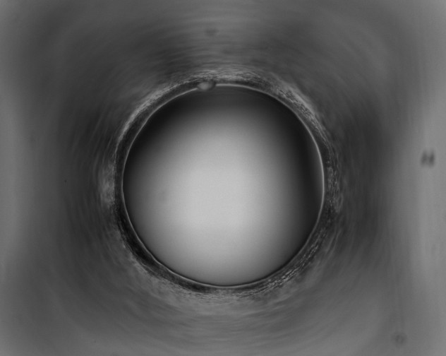 X0000100860012200806201228