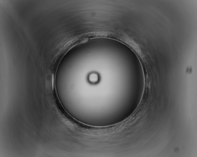 X0000100860013200806201228