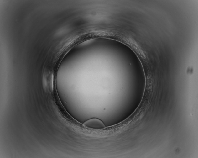 X0000100860014200806201228