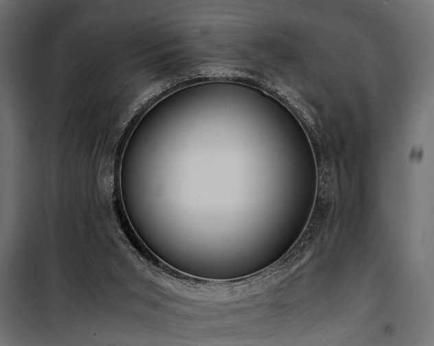 X0000100860015200806201228