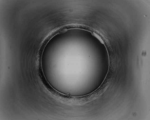 X0000100860016200806201228