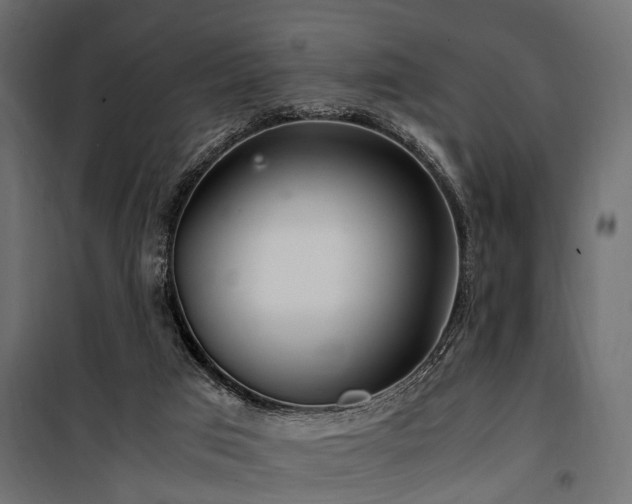 X0000100860017200806201228