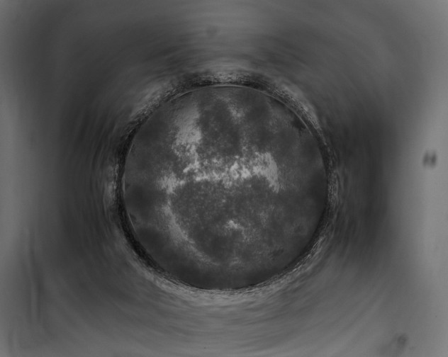 X0000100860018200806201228