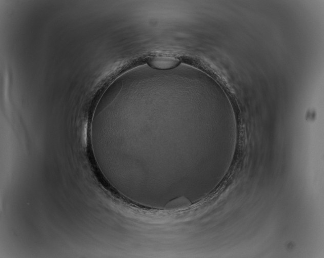 X0000100860019200806201228