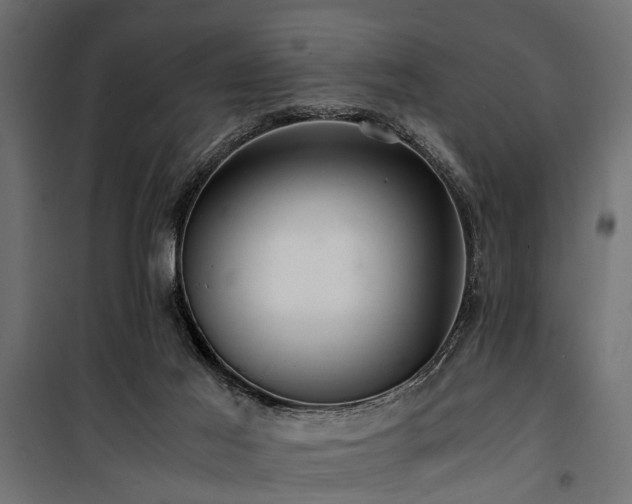 X0000100860021200806201227