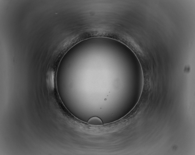 X0000100860022200806201227