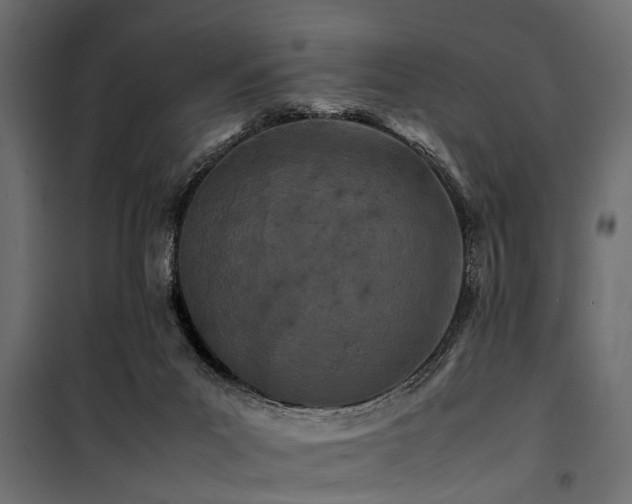 X0000100860023200806201227