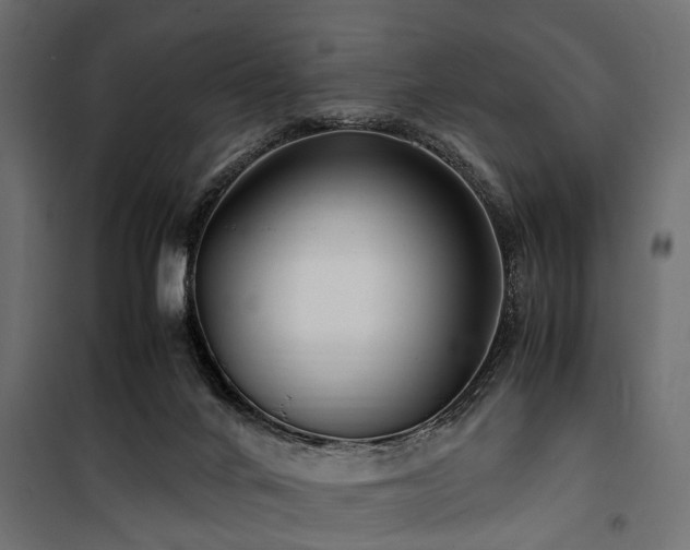 X0000100860024200806201227