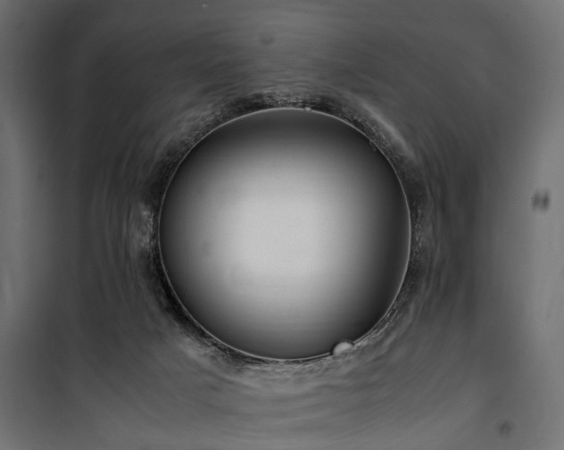 X0000100860025200806201227