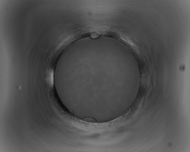 X0000100860027200806201227