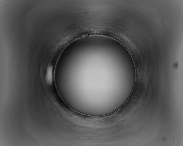 X0000100860028200806201227